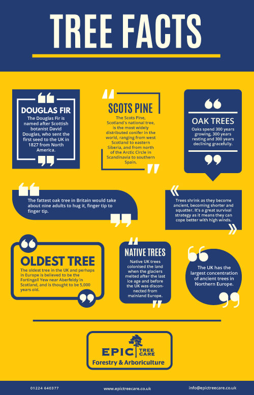 tree-facts