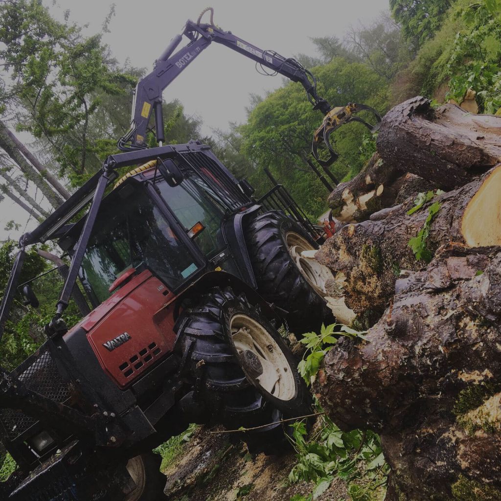 Tree Care Commercial Services