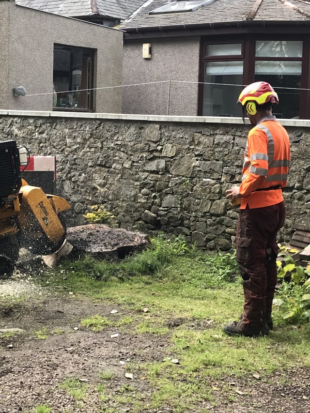 Stump Removal Aberdeenshire 001