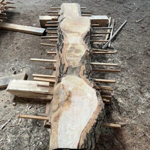 Ash - Board