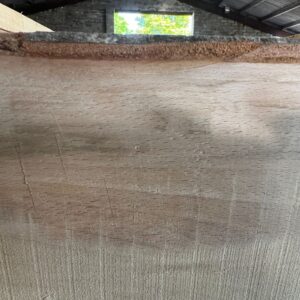 Beech - Beam