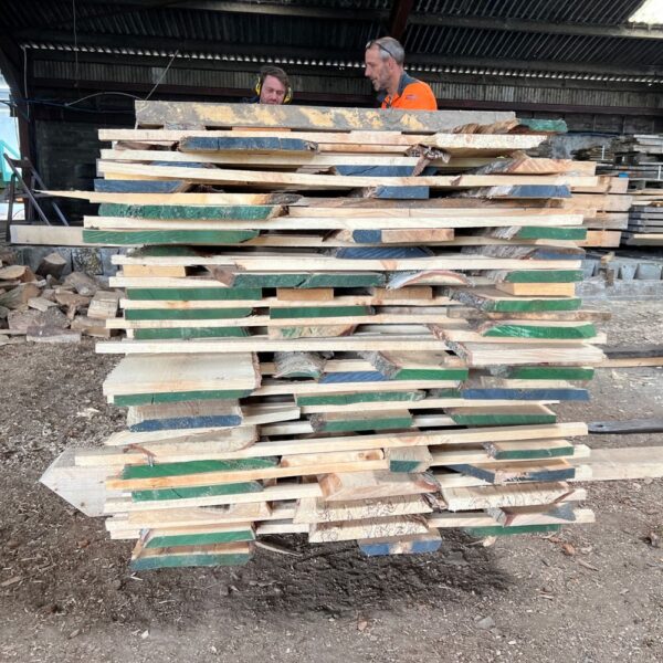 Birch - Beam