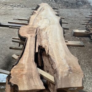 Elm - Board