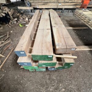 Elm - Beam