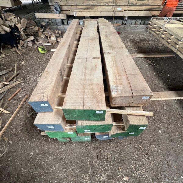 Elm - Beam