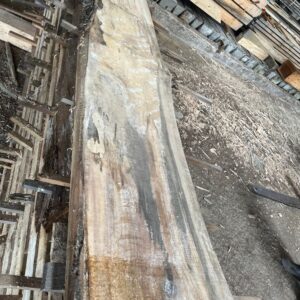 Poplar - Board