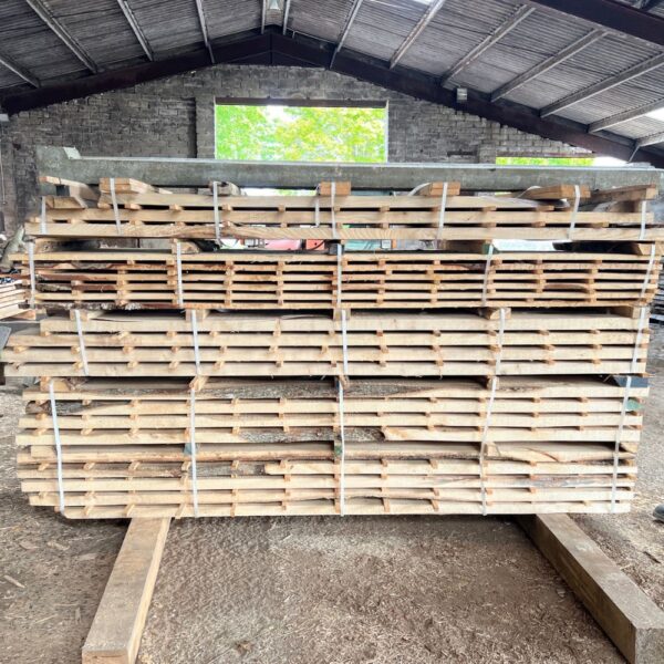 Birch - Board